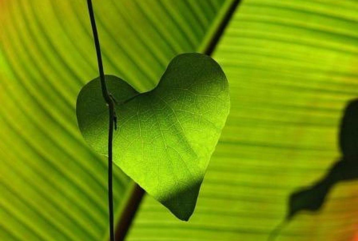 UOKiK stawia zarzuty za greenwashing
